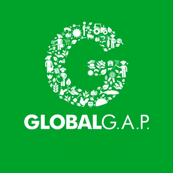 certificacion global gap