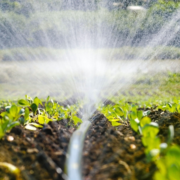 certificacion global gap