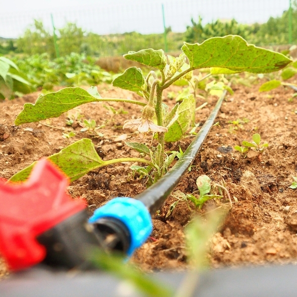 instalacion-de-equipos-de-riego