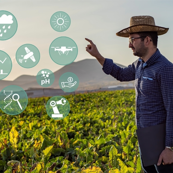 certificacion global gap